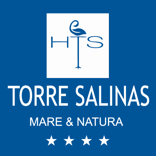 Hotel Torre Salinas
